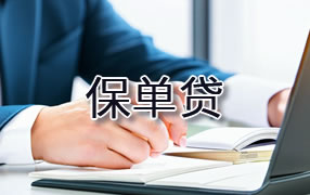 和田保单贷