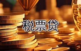 和田税票贷